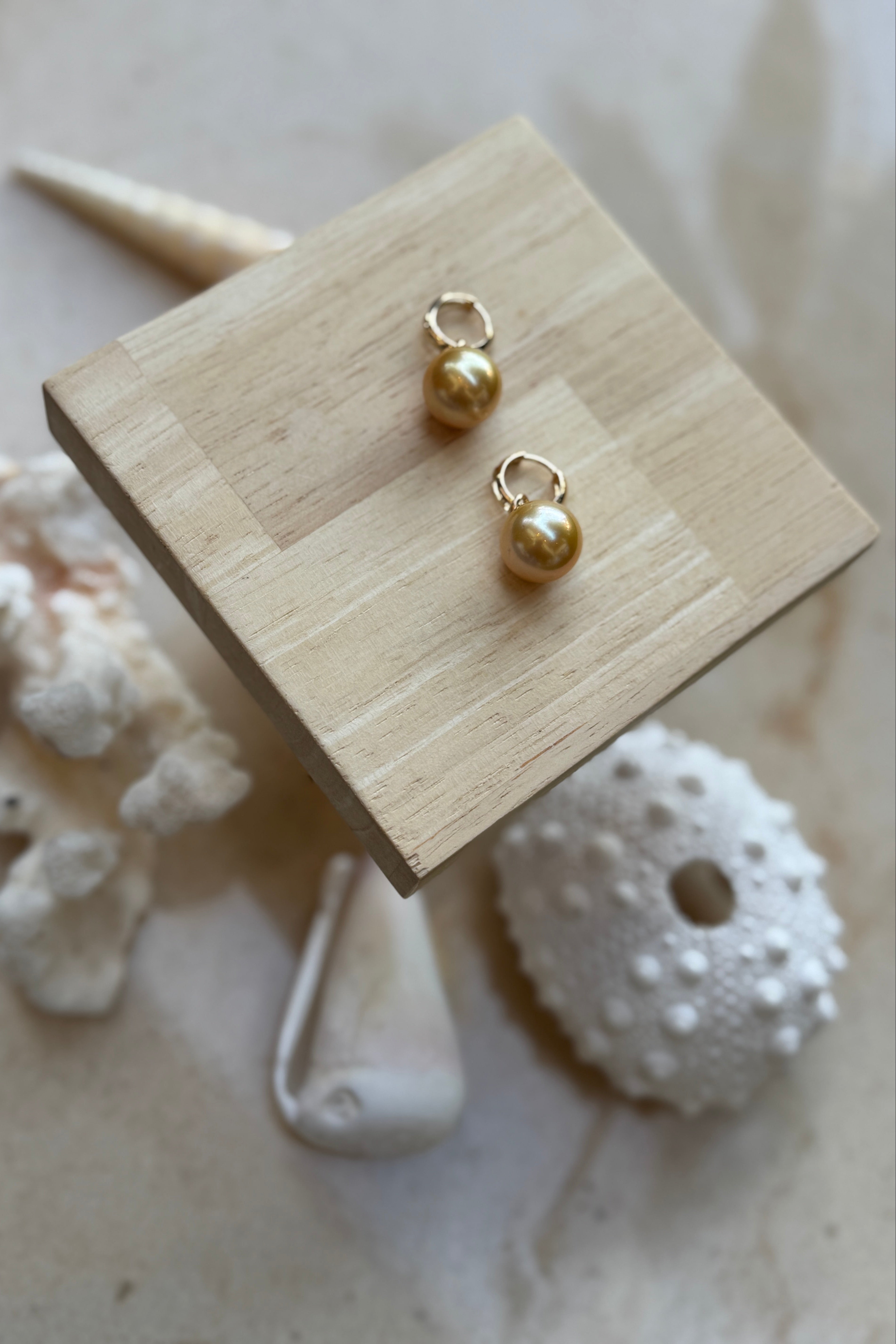 The Pearl Edit Hoops in Gold