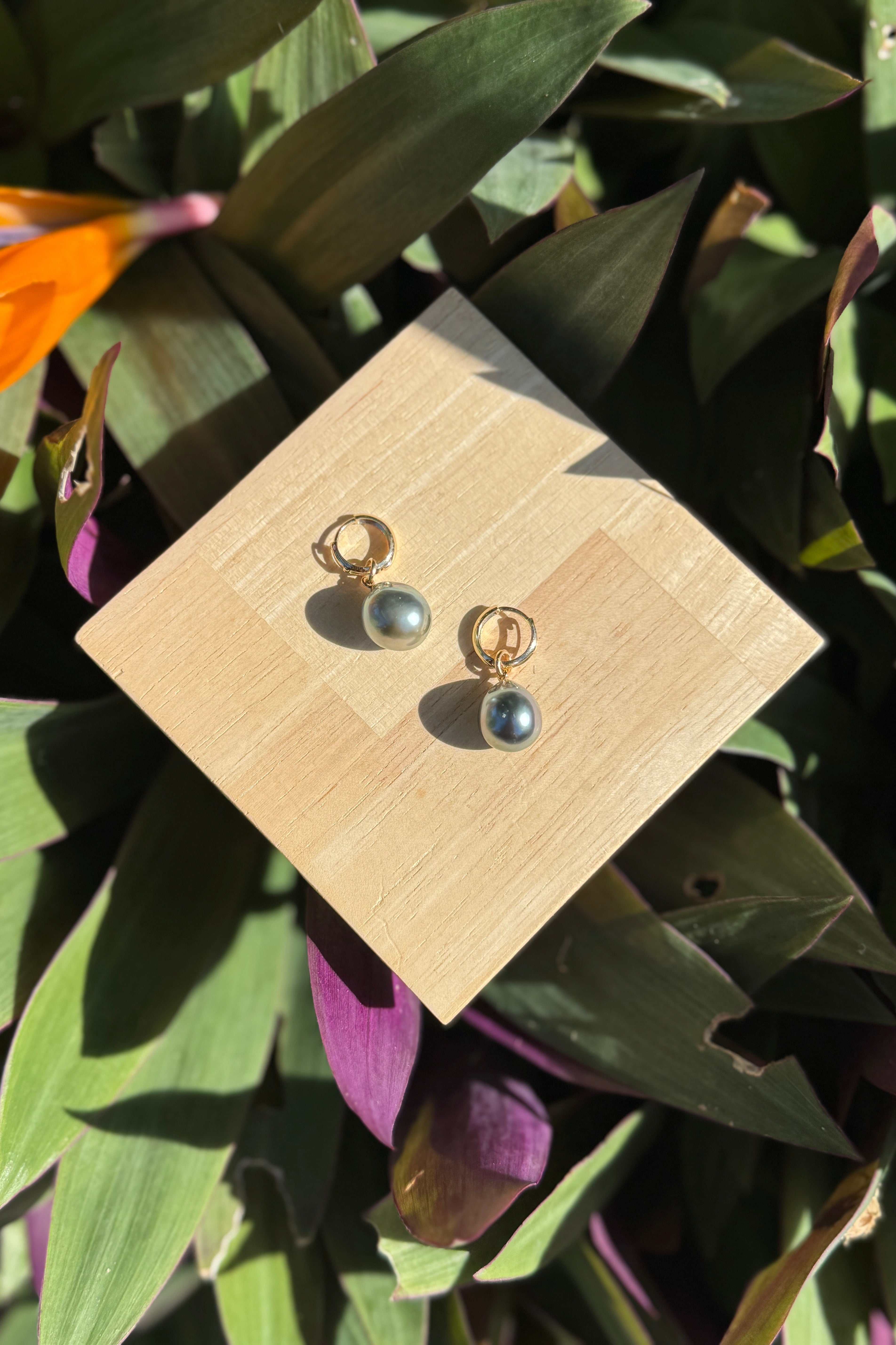 The Pearl Edit Hoops in Gold