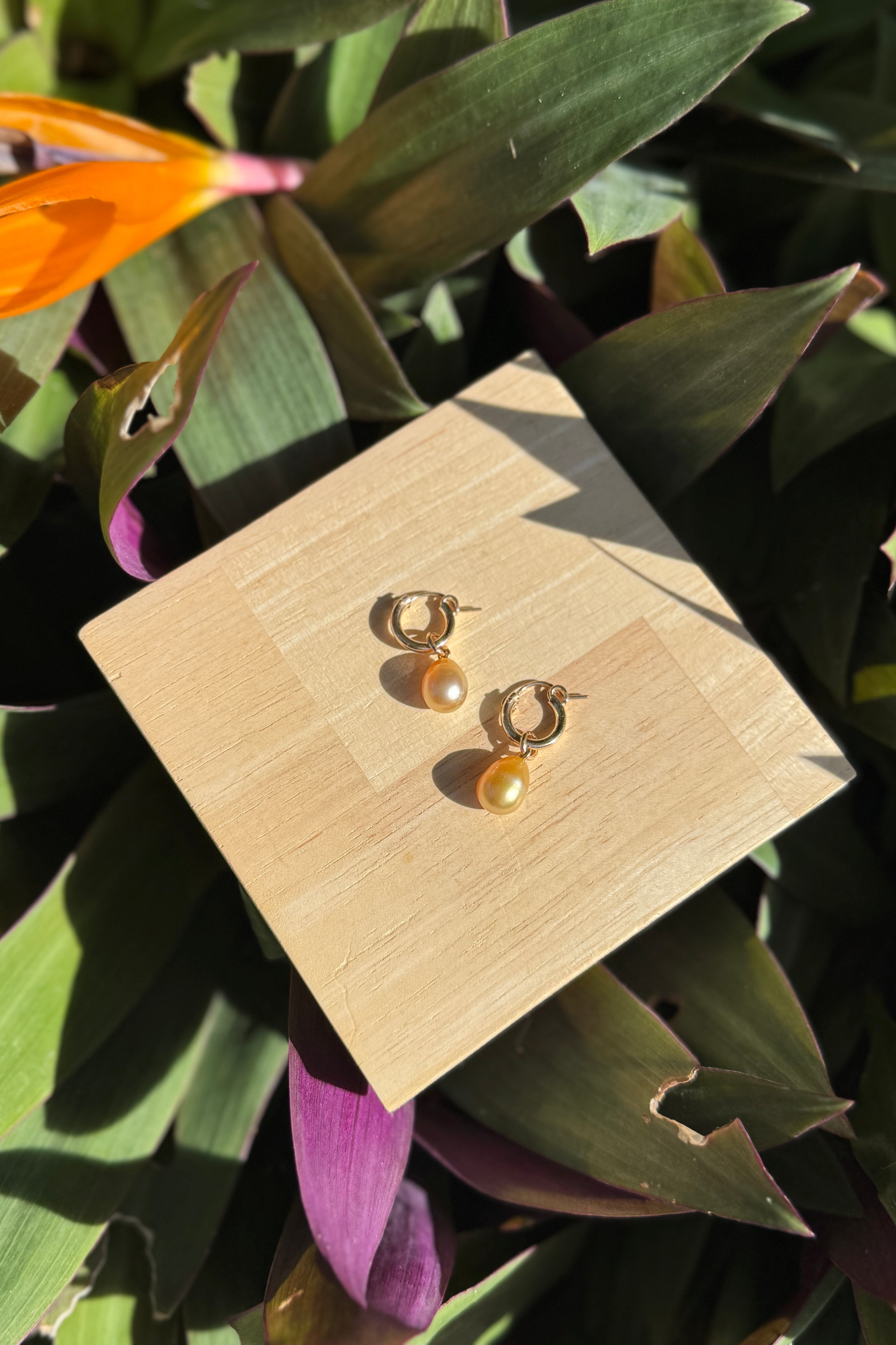 The Pearl Edit Hoops in Gold Filled